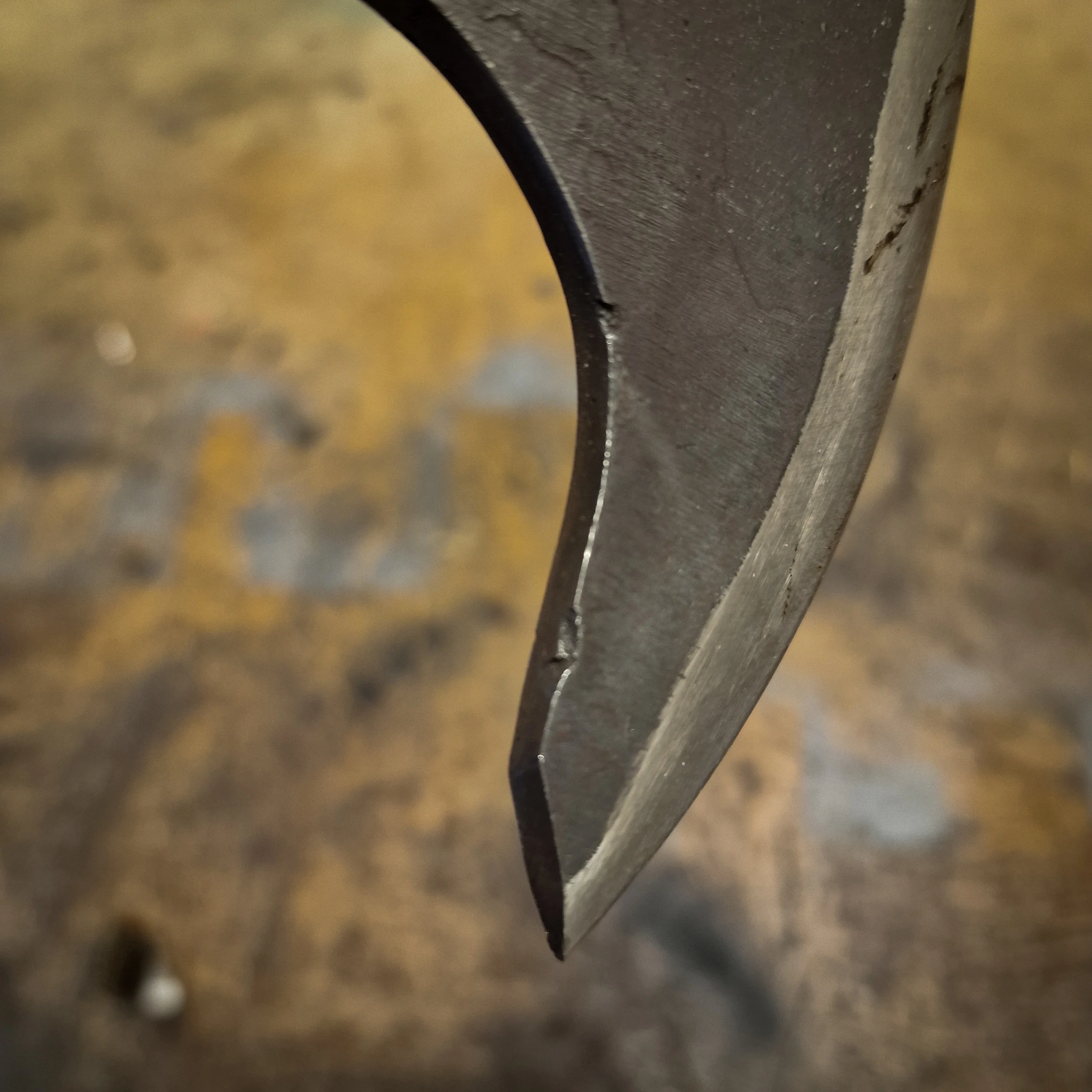 Bearded Thrower - Seconds - Image 4
