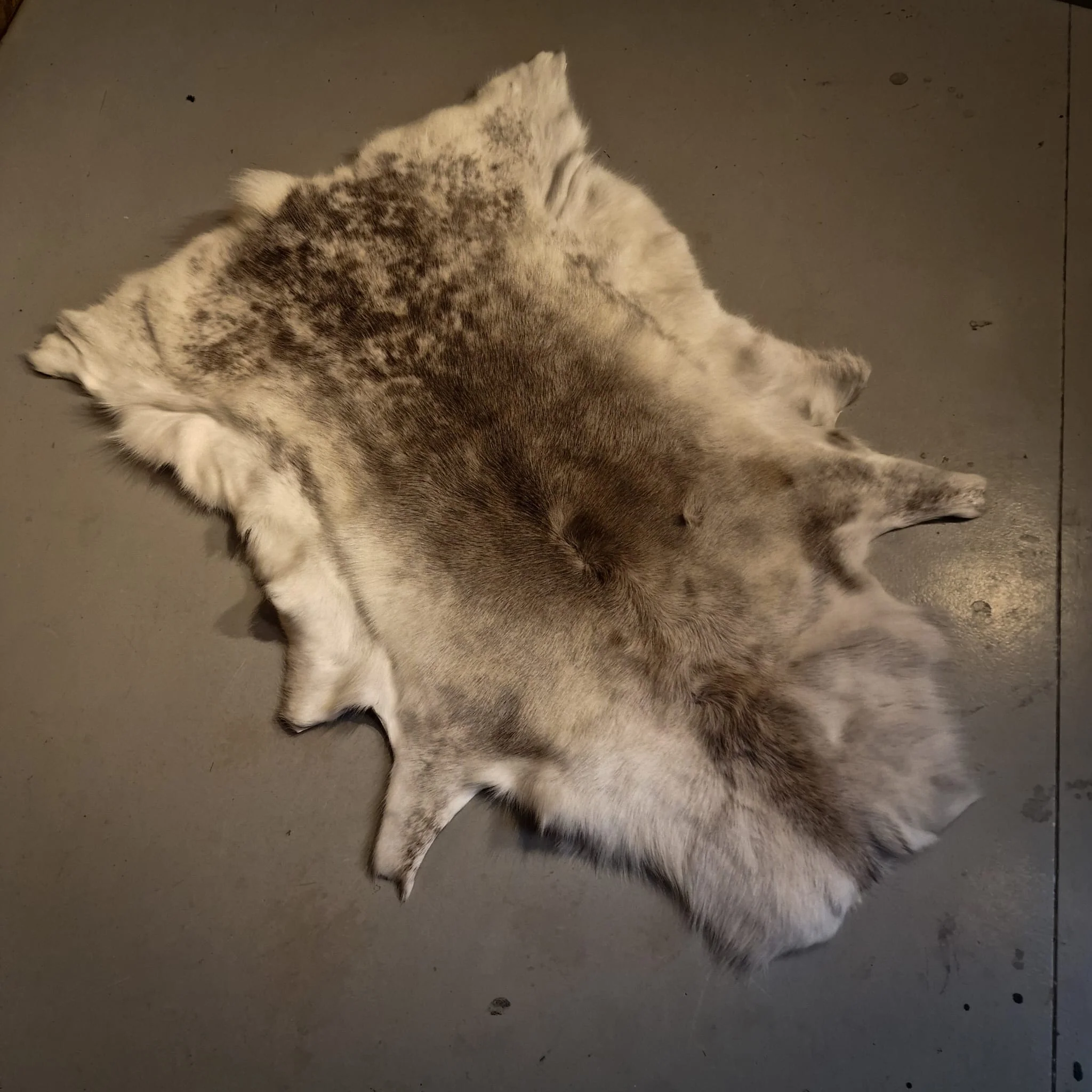 XL Reindeer Fur Hide - Seconds - Image 2